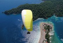 Taylor Swift Wins 2016 Grammys Album of the Year