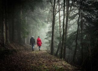 New Zealand Sports Legend Dies to Cancer at Age 43